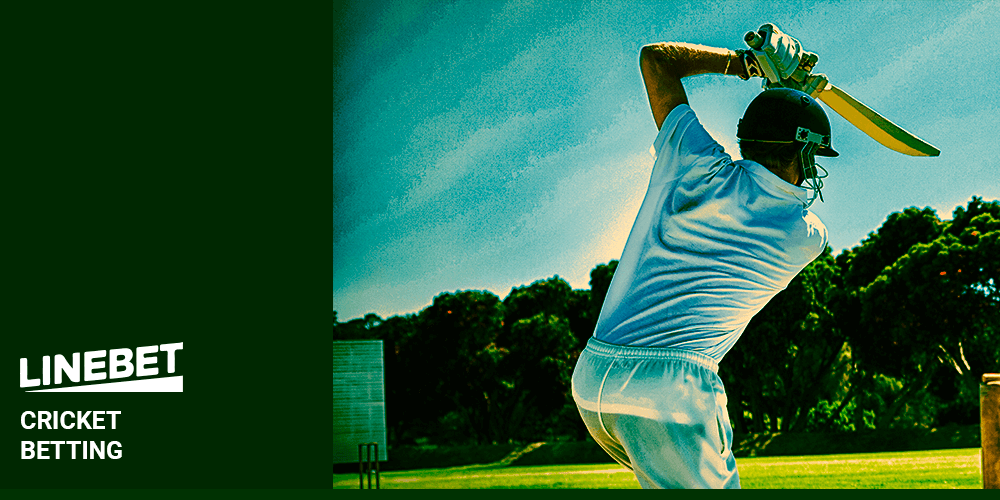 Linebet Cricket Betting