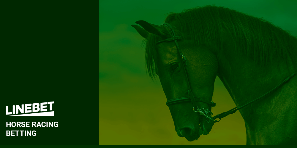 Horse Racing Batting